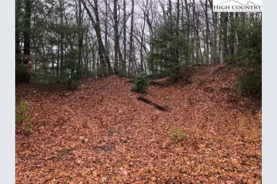 Lot 105 Pepper Bush Road, Purlear, NC 28665 - Photo 3