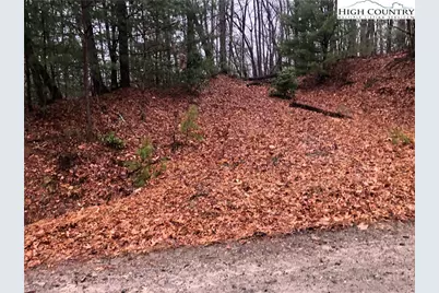 Lot 105 Pepper Bush Road, Purlear, NC 28665 - Photo 3