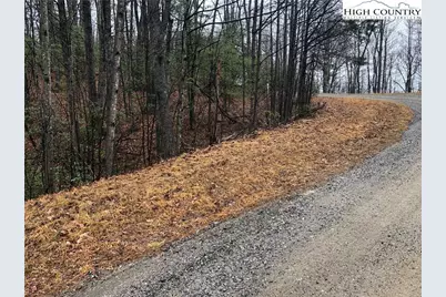 Lot 105 Pepper Bush Road, Purlear, NC 28665 - Photo 5