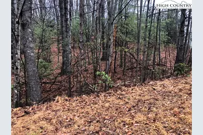 Lot 105 Pepper Bush Road, Purlear, NC 28665 - Photo 7