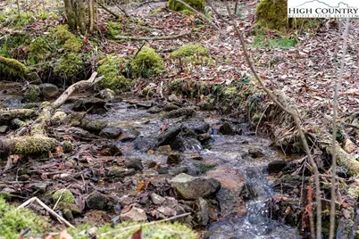 0 Dark Ridge Road, Elk Park, NC 28622 - Photo 11