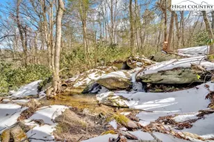 Lot 41 Mossy Creek Ct, Boone, NC 28607 - Photo 7