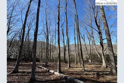 Lot 43 Poplar Forest Drive, Boone, NC 28607 - Photo 7
