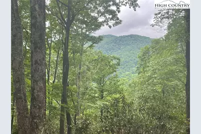 Lot 43 Poplar Forest Drive, Boone, NC 28607 - Photo 3