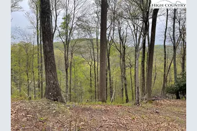 Lot 43 Poplar Forest Drive, Boone, NC 28607 - Photo 15