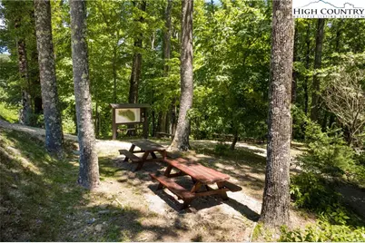 1.58 Acres Lady's Mantle (Er9) Lane, Ferguson, NC 28624 - Photo 39