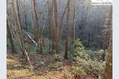 Lot 530 Roca Vista Drive, Lenoir, NC 28645 - Photo 17