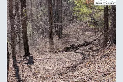 Lot 4 Running Cedar Lane, Crumpler, NC 28617 - Photo 11