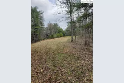 Lot 4 Running Cedar Lane, Crumpler, NC 28617 - Photo 9