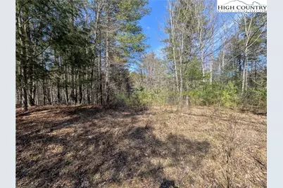 Lot 4 Running Cedar Lane, Crumpler, NC 28617 - Photo 7