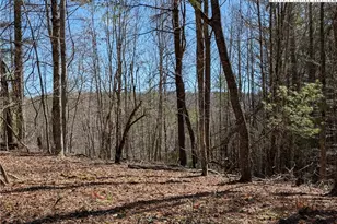 Lot 4 Running Cedar Ln, Crumpler, NC 28617 - Photo 1