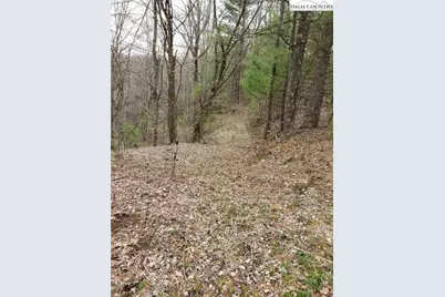 Lot 4 Running Cedar Lane, Crumpler, NC 28617 - Photo 5