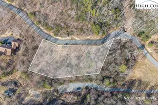Lot 46 Falls Creek Pkwy, Elk Park, NC 28622 - Photo 1