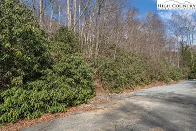 Lot 46 Falls Creek Parkway, Elk Park, NC 28622 - Photo 17