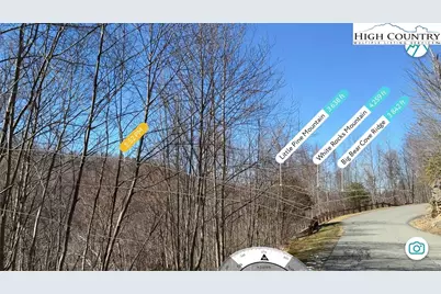 Lot 46 Falls Creek Parkway, Elk Park, NC 28622 - Photo 3