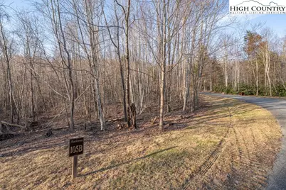 105B Beaver Dam Road, Elk Park, NC 28622 - Photo 3