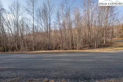 105B Beaver Dam Road, Elk Park, NC 28622 - Photo 7