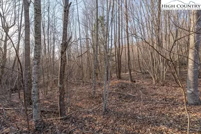 105B Beaver Dam Road, Elk Park, NC 28622 - Photo 5