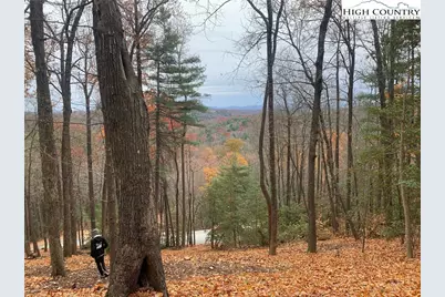 Lot 54 Wildcat Wilderness Parkway, Deep Gap, NC 28618 - Photo 15