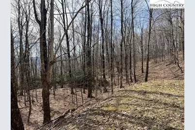 Unk Maple Branch Road, West Jefferson, NC 28694 - Photo 1