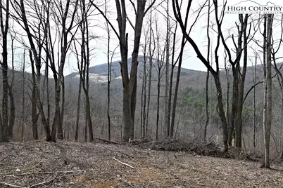 Lot #10 Solitude Lane, Todd, NC 28684 - Photo 17