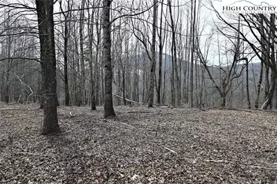 Lot #10 Solitude Lane, Todd, NC 28684 - Photo 19