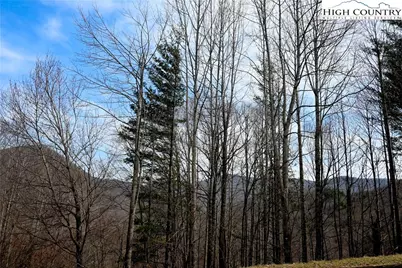 Lot #10 Solitude Lane, Todd, NC 28684 - Photo 13