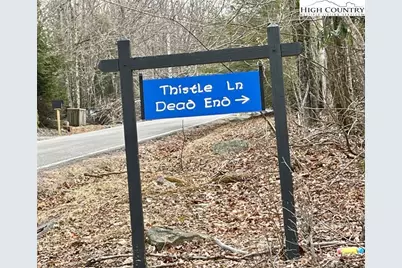 105 Thistle Lane, Beech Mountain, NC 28604 - Photo 7