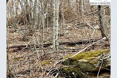 105 Thistle Lane, Beech Mountain, NC 28604 - Photo 3