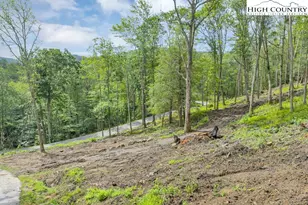 Lot 90 Eagles Nest Trail, Banner Elk, NC 28604 - Photo 1
