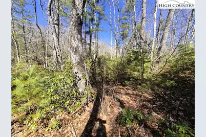 Lot 35 Smoke Rise Path, West Jefferson, NC 28694 - Photo 9