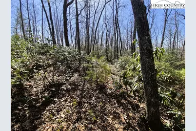 Lot 35 Smoke Rise Path, West Jefferson, NC 28694 - Photo 11