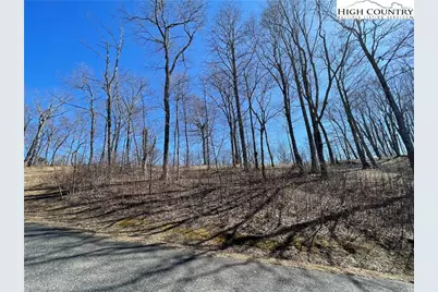 Tbd Lot #4 Olde Stone Ridge, Crumpler, NC 28617 - Photo 21