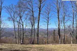 Tbd Lot #4 Olde Stone Ridge, Crumpler, NC 28617 - Photo 1