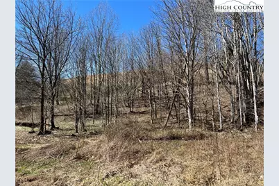 Lot 23/24 Cristina Lane, Vilas, NC 28692 - Photo 19