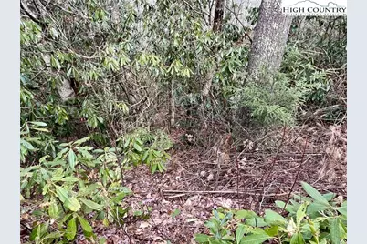 Tbd Chestnut Mountain Road, Banner Elk, NC 28604 - Photo 9