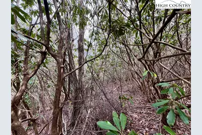 Tbd Chestnut Mountain Road, Banner Elk, NC 28604 - Photo 11