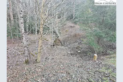 Lot #1 Creekside Meadows Court, Linville, NC 28646 - Photo 11