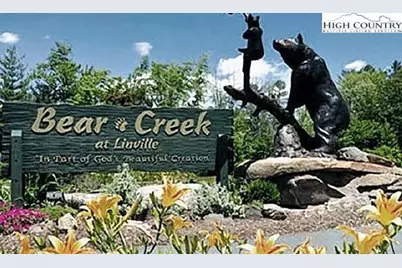 Lot #1 Creekside Meadows Court, Linville, NC 28646 - Photo 15