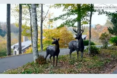 Lot #1 Creekside Meadows Court, Linville, NC 28646 - Photo 17