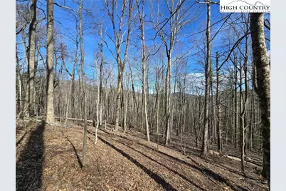 Tbd Parkway Estates Rd, Laurel Springs, NC 28644 - Photo 1