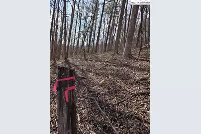 Tbd Parkway Estates Rd, Laurel Springs, NC 28644 - Photo 7