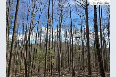 Tbd Parkway Estates Rd, Laurel Springs, NC 28644 - Photo 5