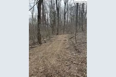 Tbd Parkway Estates Rd, Laurel Springs, NC 28644 - Photo 9