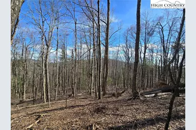 Tbd Parkway Estates Rd, Laurel Springs, NC 28644 - Photo 3