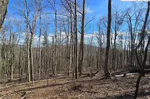 Tbd Parkway Estates Rd, Laurel Springs, NC 28644 - Photo 1