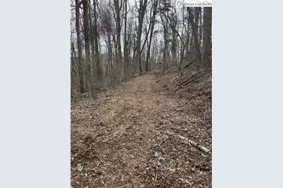 Tbd Parkway Estates Rd, Laurel Springs, NC 28644 - Photo 13