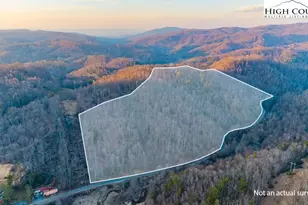 Tbd Banner Elk Hwy, Elk Park, NC 28622 - Photo 1