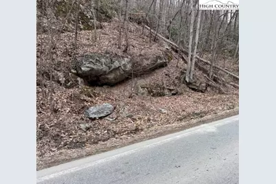 Tbd Banner Elk Highway, Elk Park, NC 28622 - Photo 9