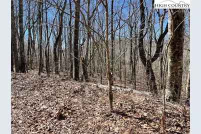 Lot B Tyneridge Drive, Banner Elk, NC 28604 - Photo 7
